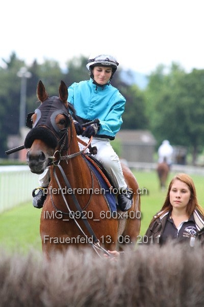IMG 0920 600x400 prot
