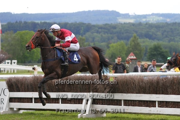 IMG 0930 600x400 prot