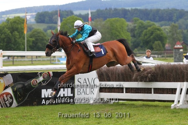 IMG 0936 600x400 prot