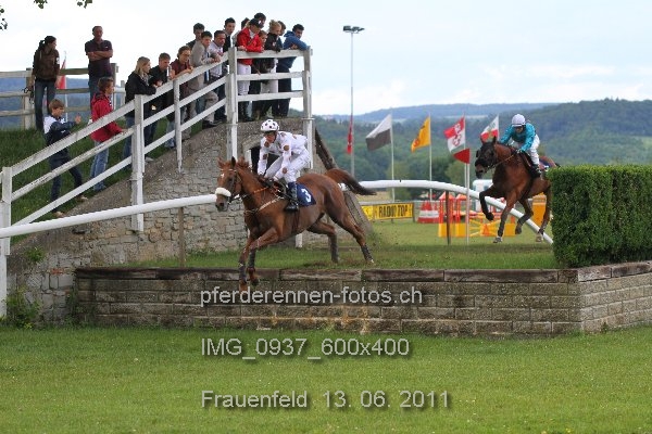 IMG 0937 600x400 prot