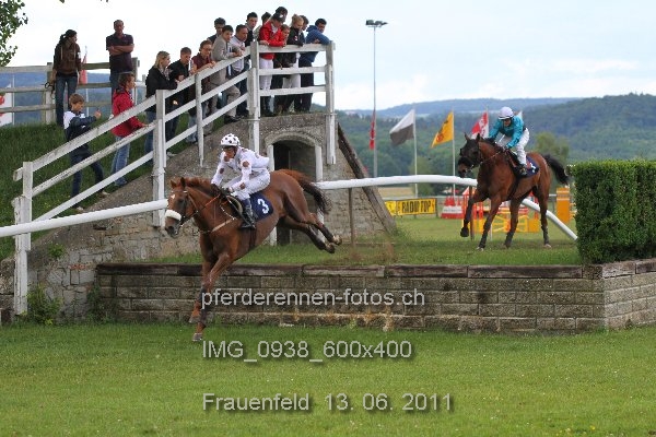 IMG 0938 600x400 prot