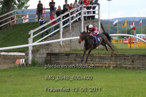 IMG 0948 600x400 prot