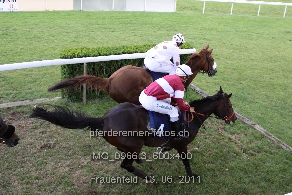 IMG 0966.3 600x400 prot