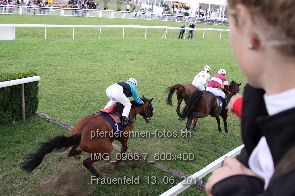 IMG 0966.7 600x400 prot