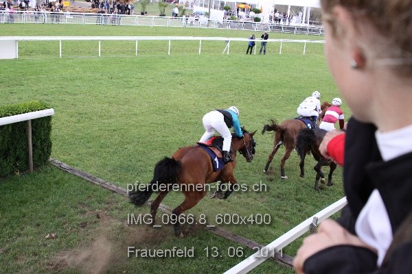 IMG 0966.8 600x400 prot