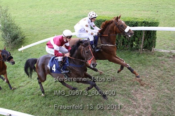 IMG 0967.3 600x400 prot
