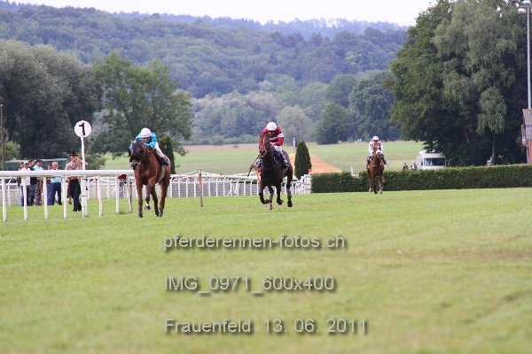 IMG 0971 600x400 prot