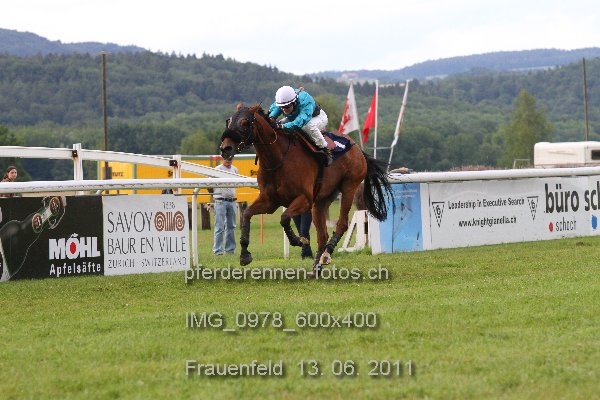 IMG 0978 600x400 prot