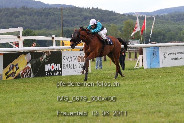 IMG 0979 600x400 prot
