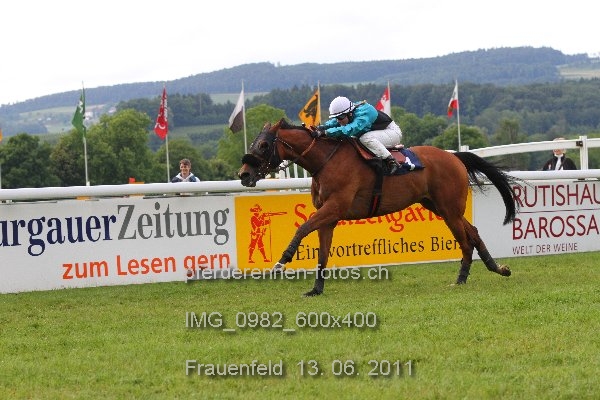 IMG 0982 600x400 prot