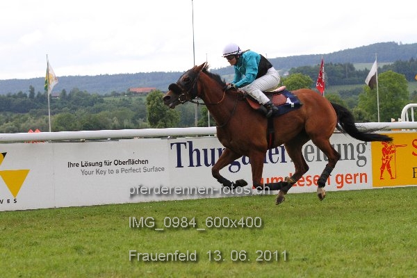 IMG 0984 600x400 prot