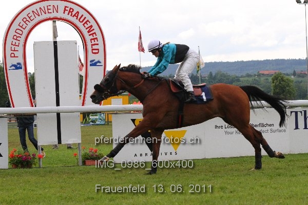 IMG 0986 600x400 prot
