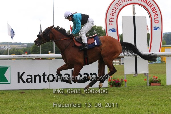 IMG 0988 600x400 prot