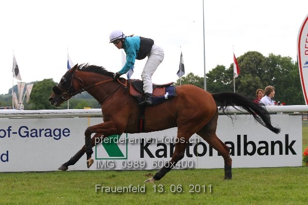 IMG 0989 600x400 prot