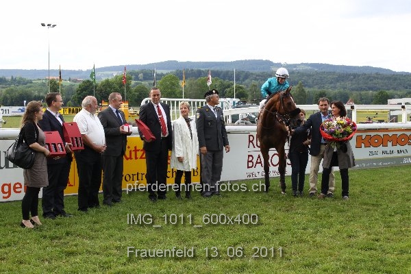 IMG 1011 600x400 prot