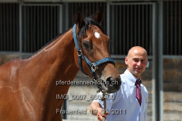 IMG 0007 600x400 prot