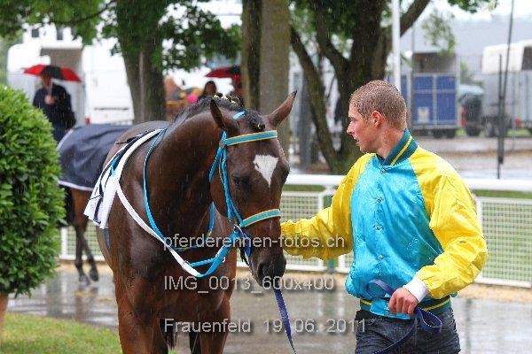 IMG 0013 600x400 prot
