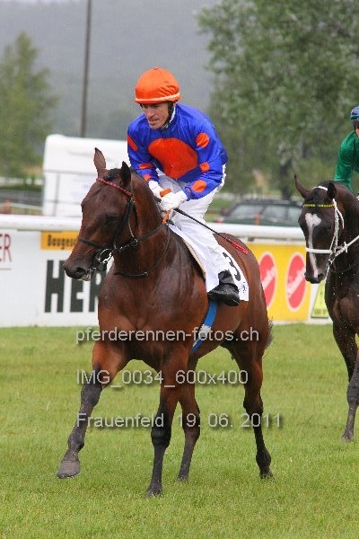 IMG 0034 600x400 prot