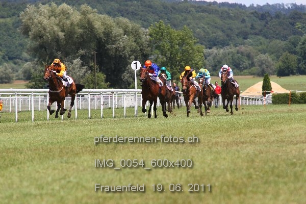 IMG 0054 600x400 prot