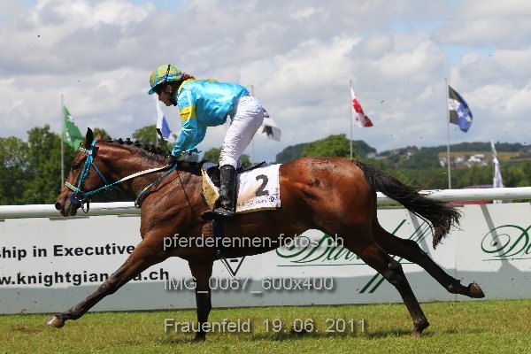 IMG 0067 600x400 prot