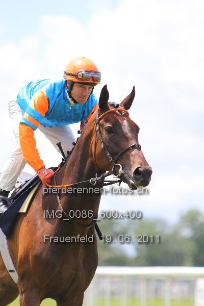 IMG 0086 600x400 prot