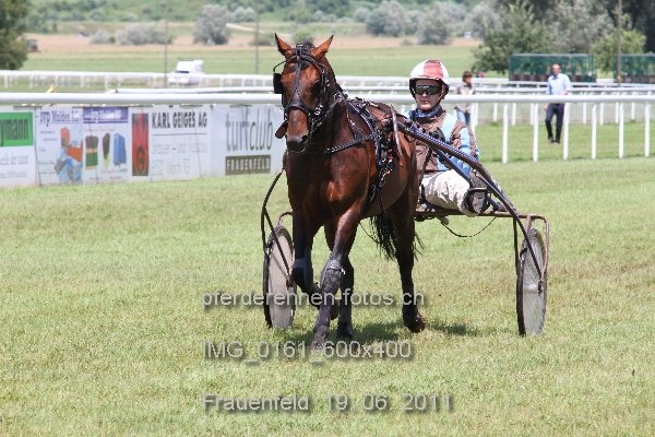 IMG 0161 600x400 prot
