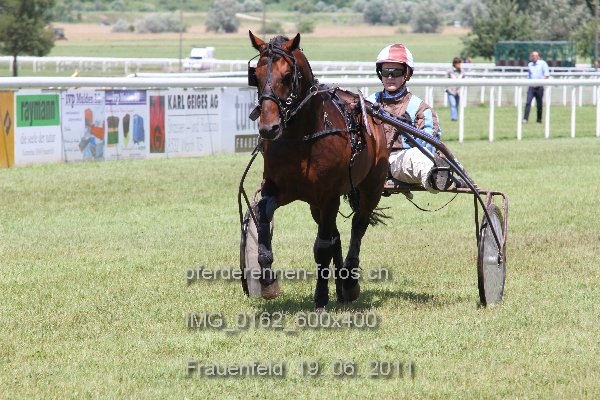 IMG 0162 600x400 prot