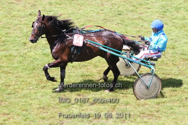 IMG 0167 600x400 prot
