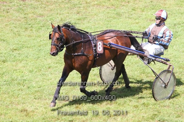 IMG 0169 600x400 prot