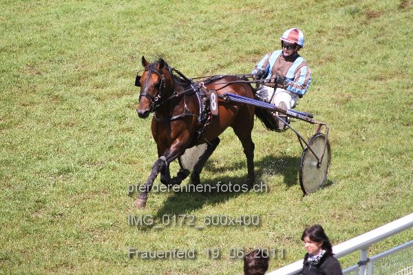IMG 0172 600x400 prot