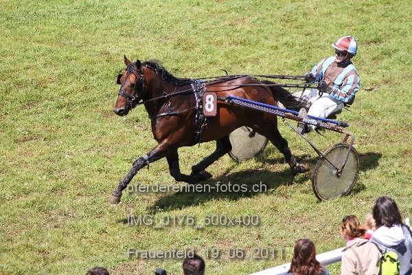 IMG 0176 600x400 prot