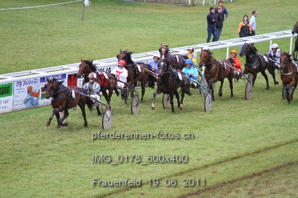 IMG 0178 600x400 prot