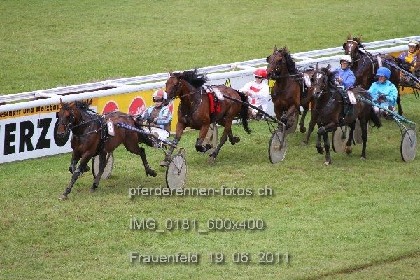 IMG 0181 600x400 prot