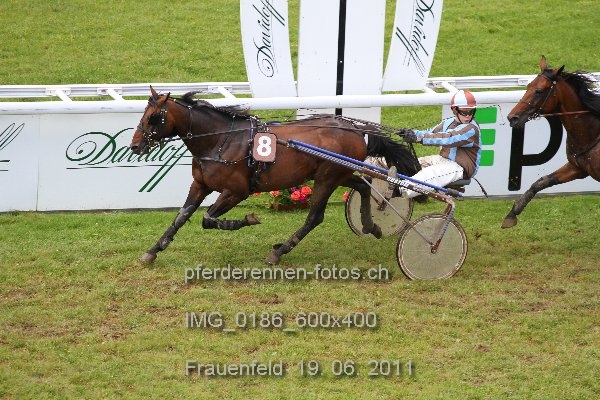 IMG 0186 600x400 prot
