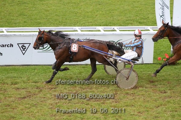 IMG 0188 600x400 prot