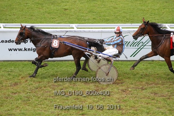 IMG 0190 600x400 prot