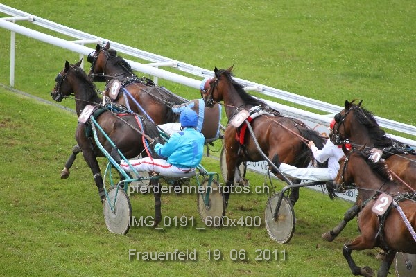 IMG 0191 600x400 prot