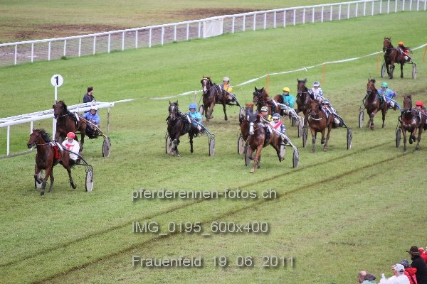 IMG 0195 600x400 prot