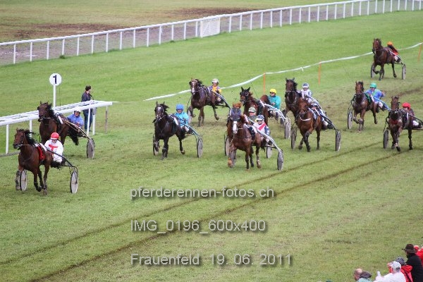 IMG 0196 600x400 prot