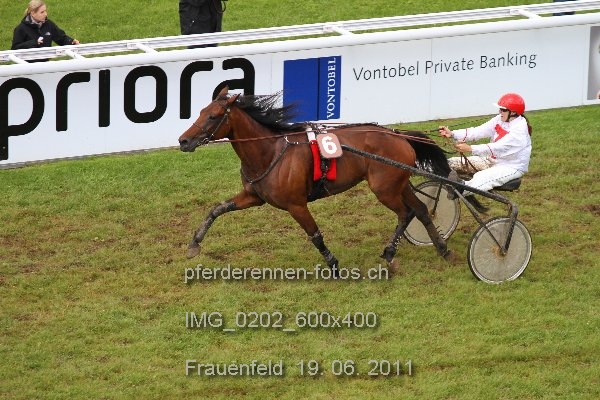 IMG 0202 600x400 prot