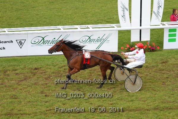 IMG 0203 600x400 prot