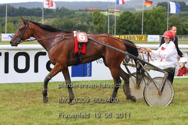 IMG 0209 600x400 prot