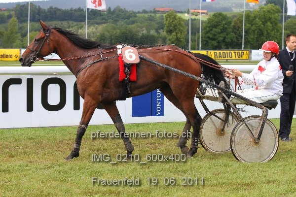 IMG 0210 600x400 prot