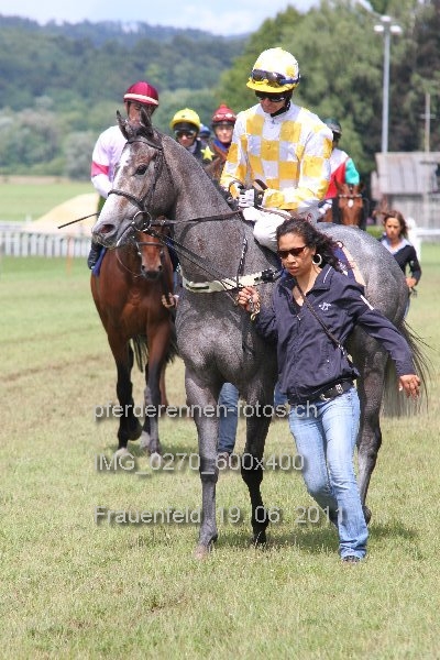 IMG 0270 600x400 prot