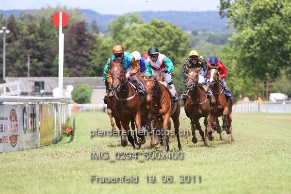 IMG 0294 600x400 prot