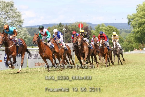 IMG 0299 600x400 prot