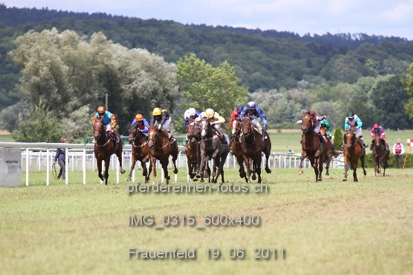 IMG 0315 600x400 prot