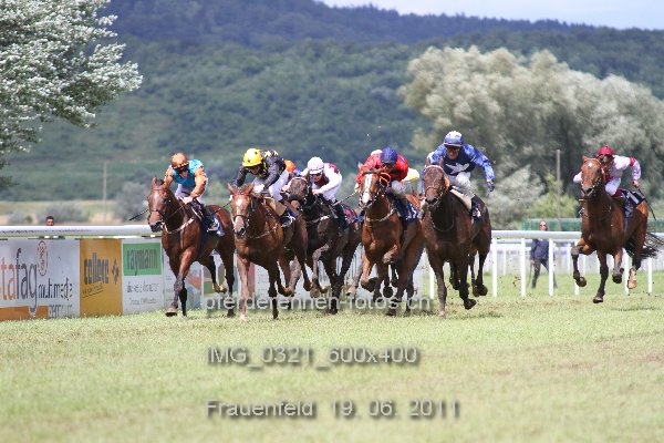 IMG 0321 600x400 prot