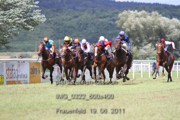 IMG 0322 600x400 prot