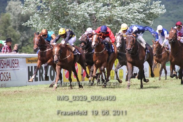 IMG 0329 600x400 prot